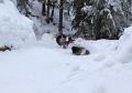 IMG 3275